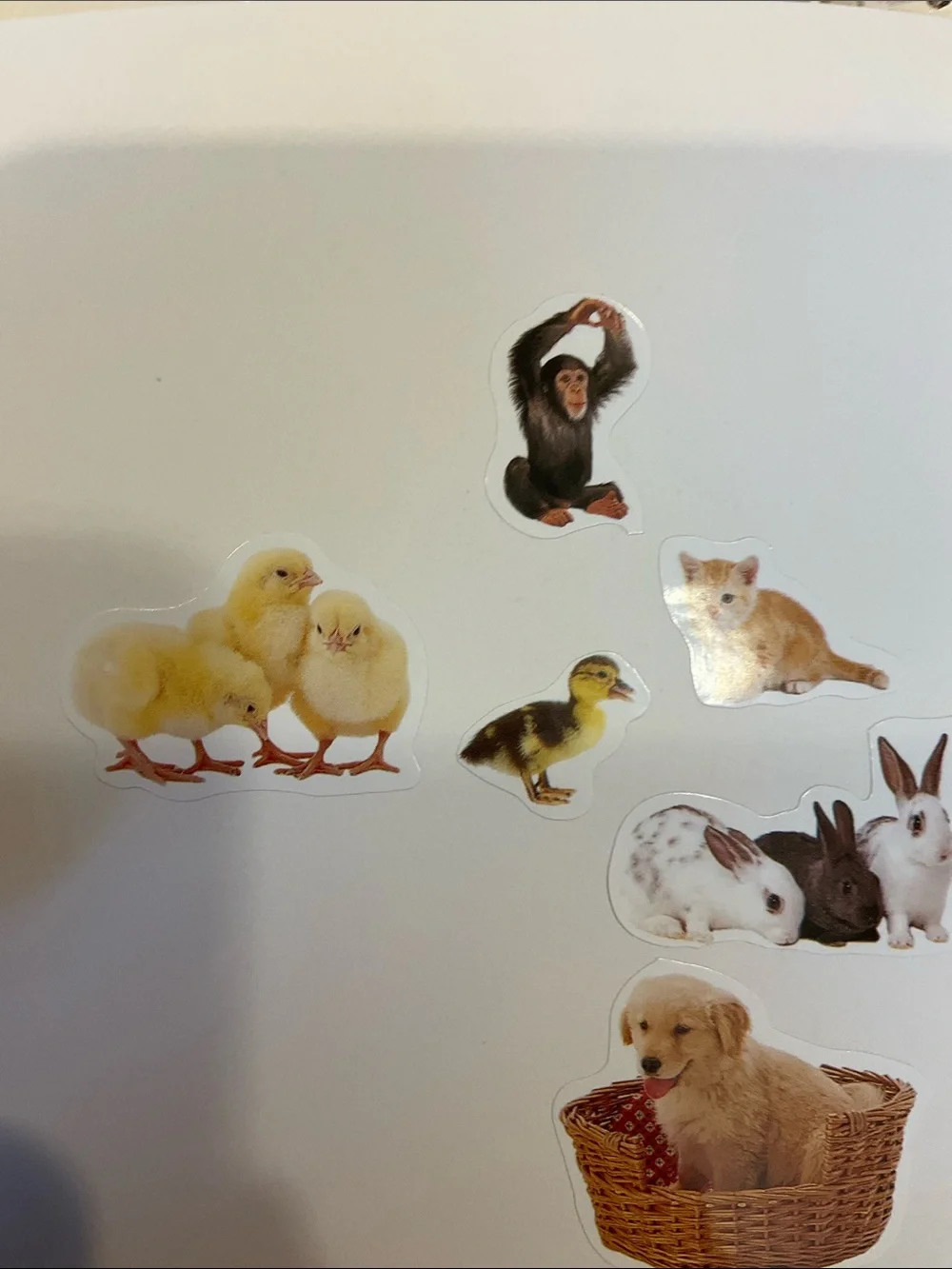 3 sticker gift packages.